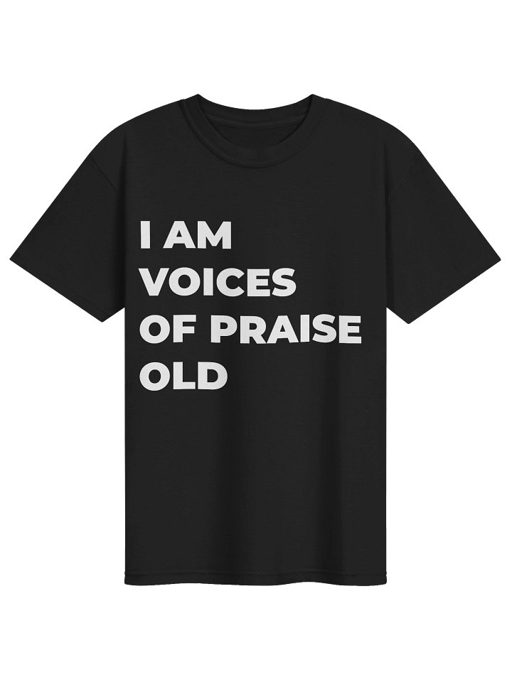 VOICES OF PRAISE product image (1)
