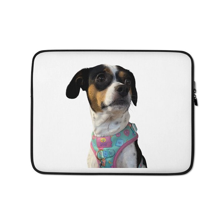 KGDS x Odessa Laptop Sleeve – Protection You’ll Always Keep product image (1)