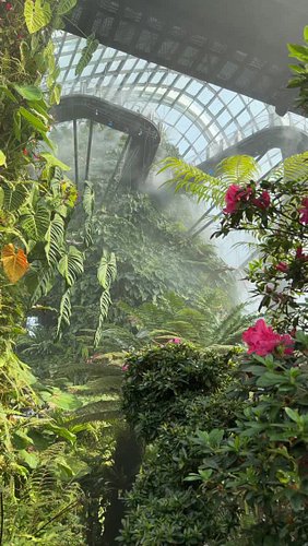 Magical ✨ 

#marinabaysg #cloudforestsingapore #singapore #gardensbythebay #singaporetravel