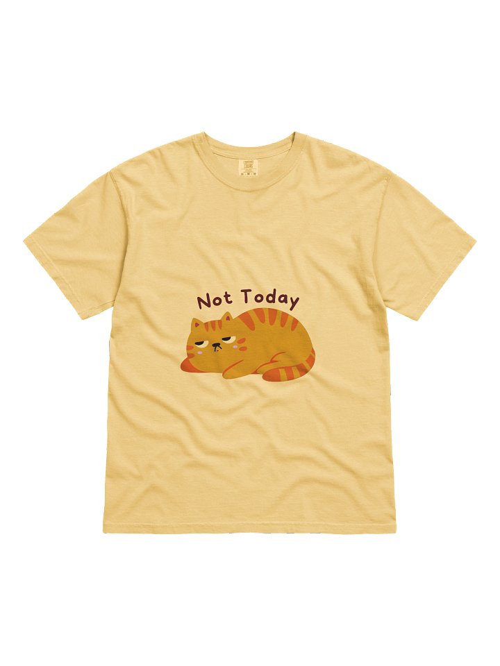 Not Today Tabby T-Shirt product image (3)