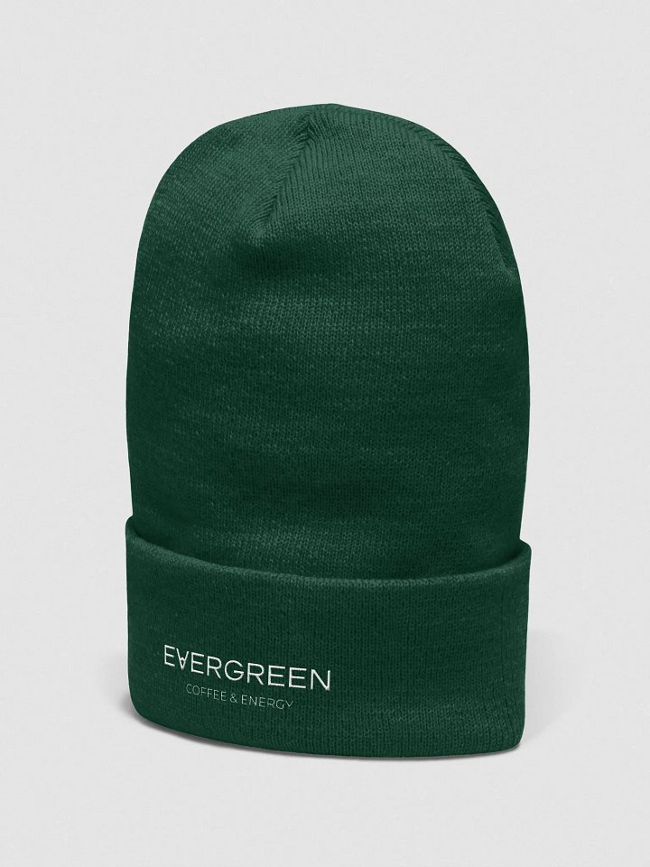 Brewista Basics | Evergreen Beanie product image (30)