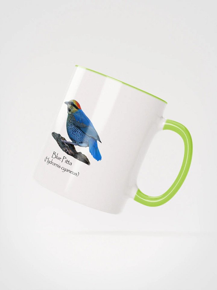 Blue Pitta mug product image (16)