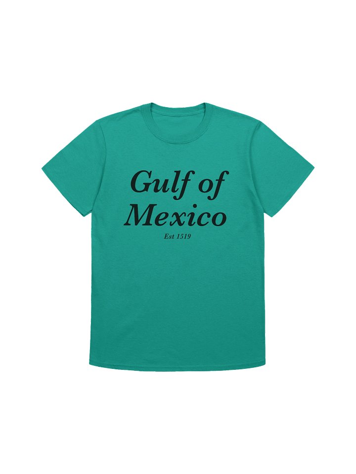 Gulf of Mexico product image (3)