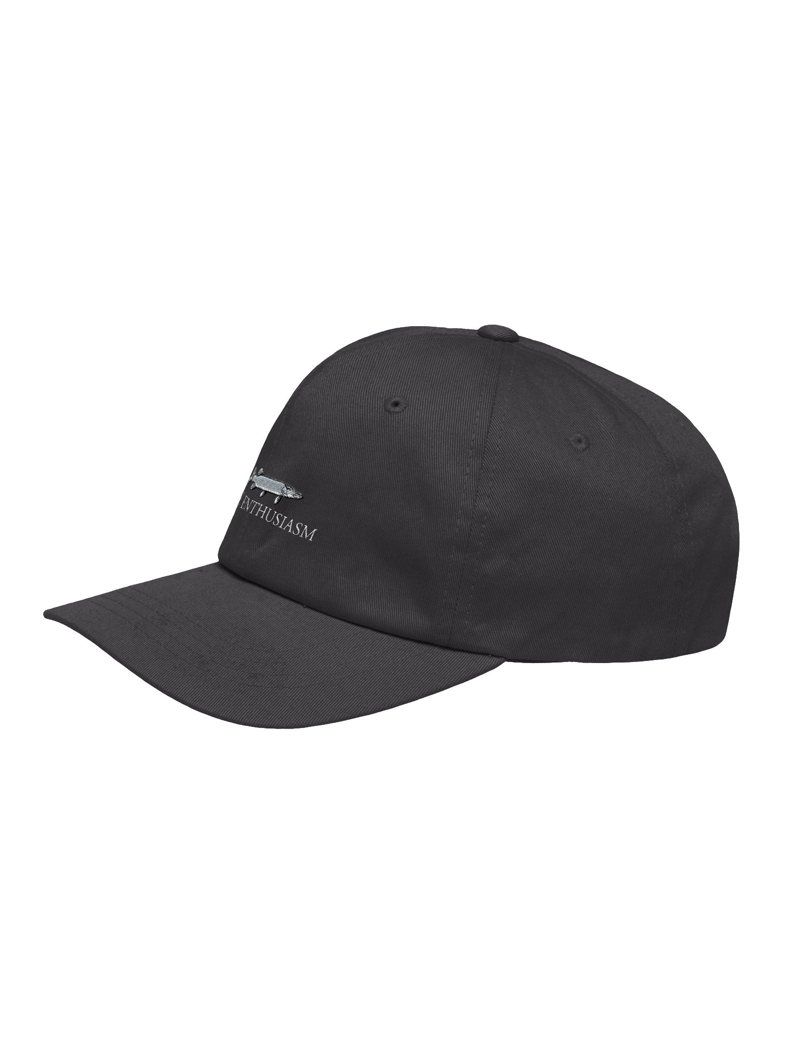 Pike Enthusiasm Dad Hat product image (5)