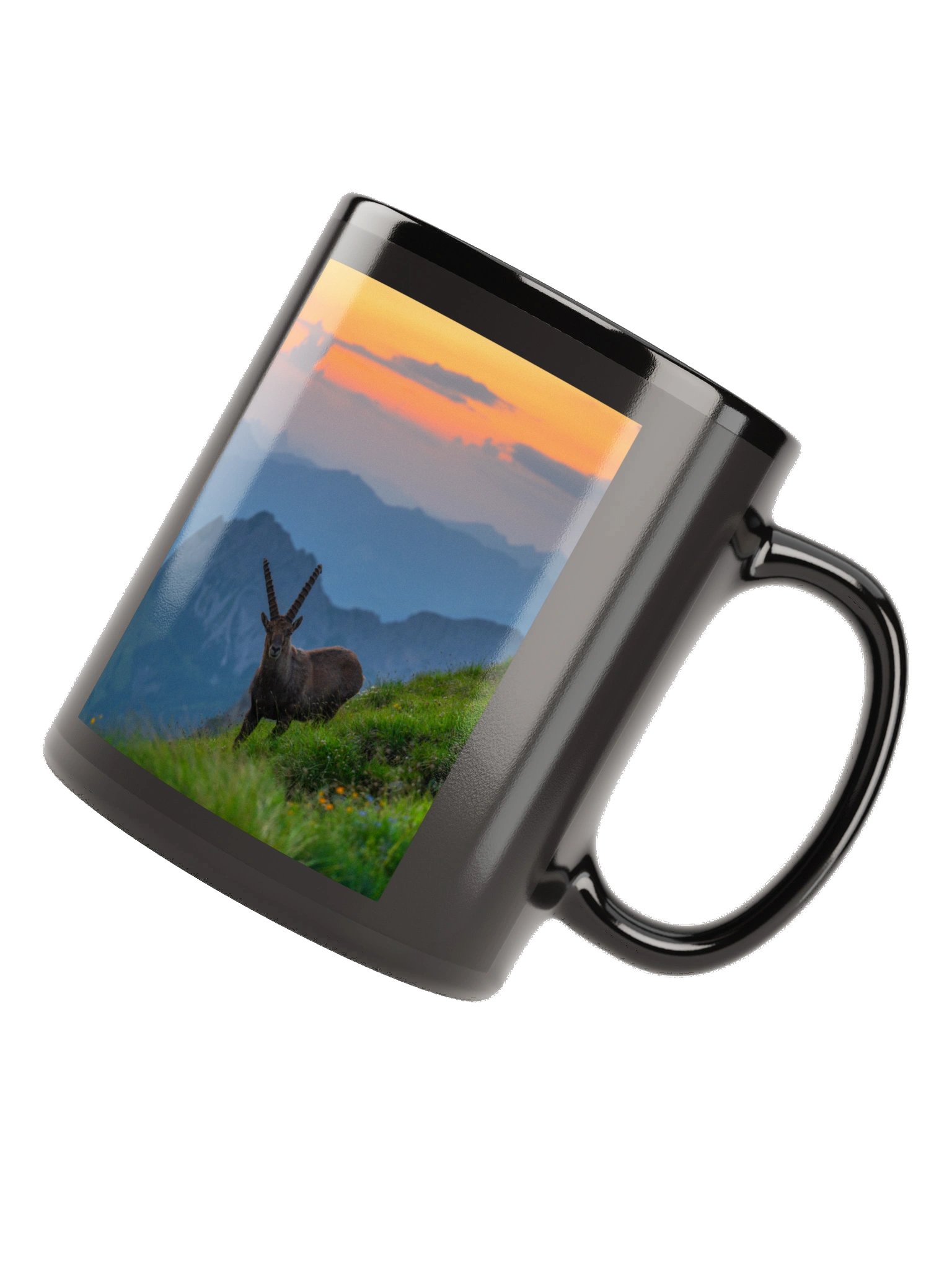 Ibex at the Brienzer Rothorn product image (11)