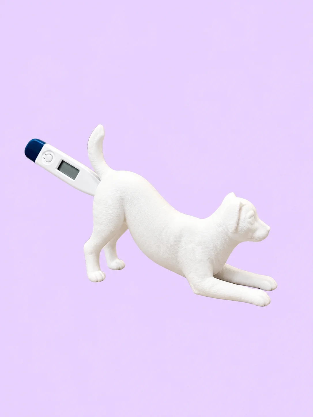 Cat and Dog Thermometer Holders product image (2)