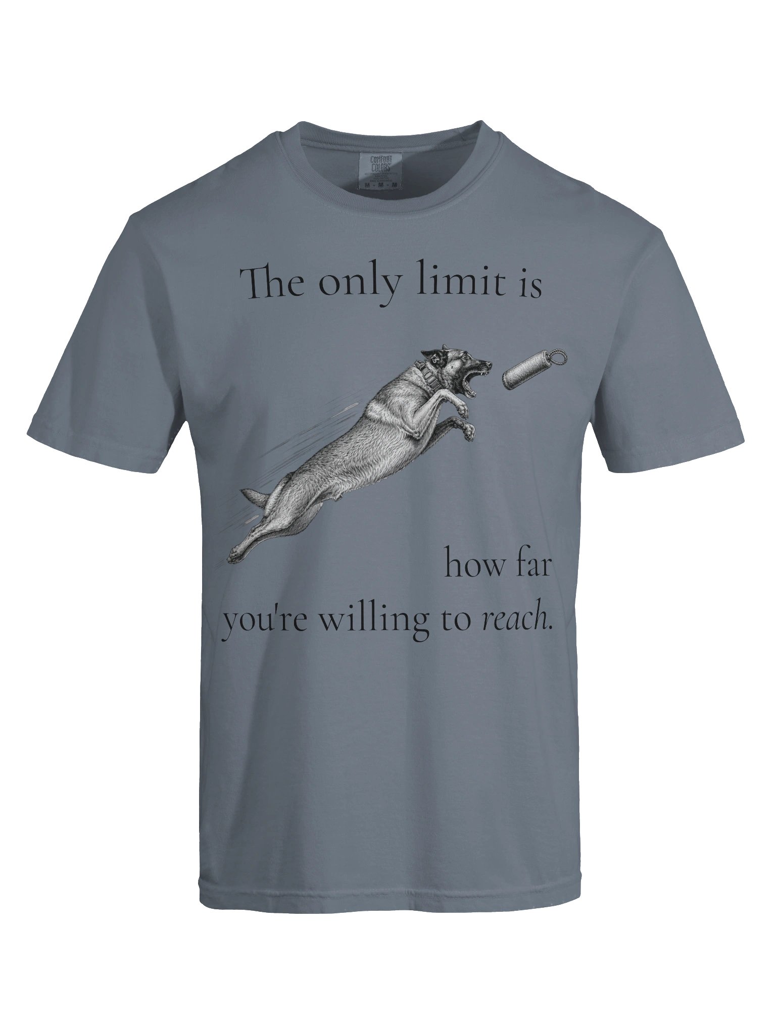 Only Limit Is How Far You're Willing to Reach product image (50)