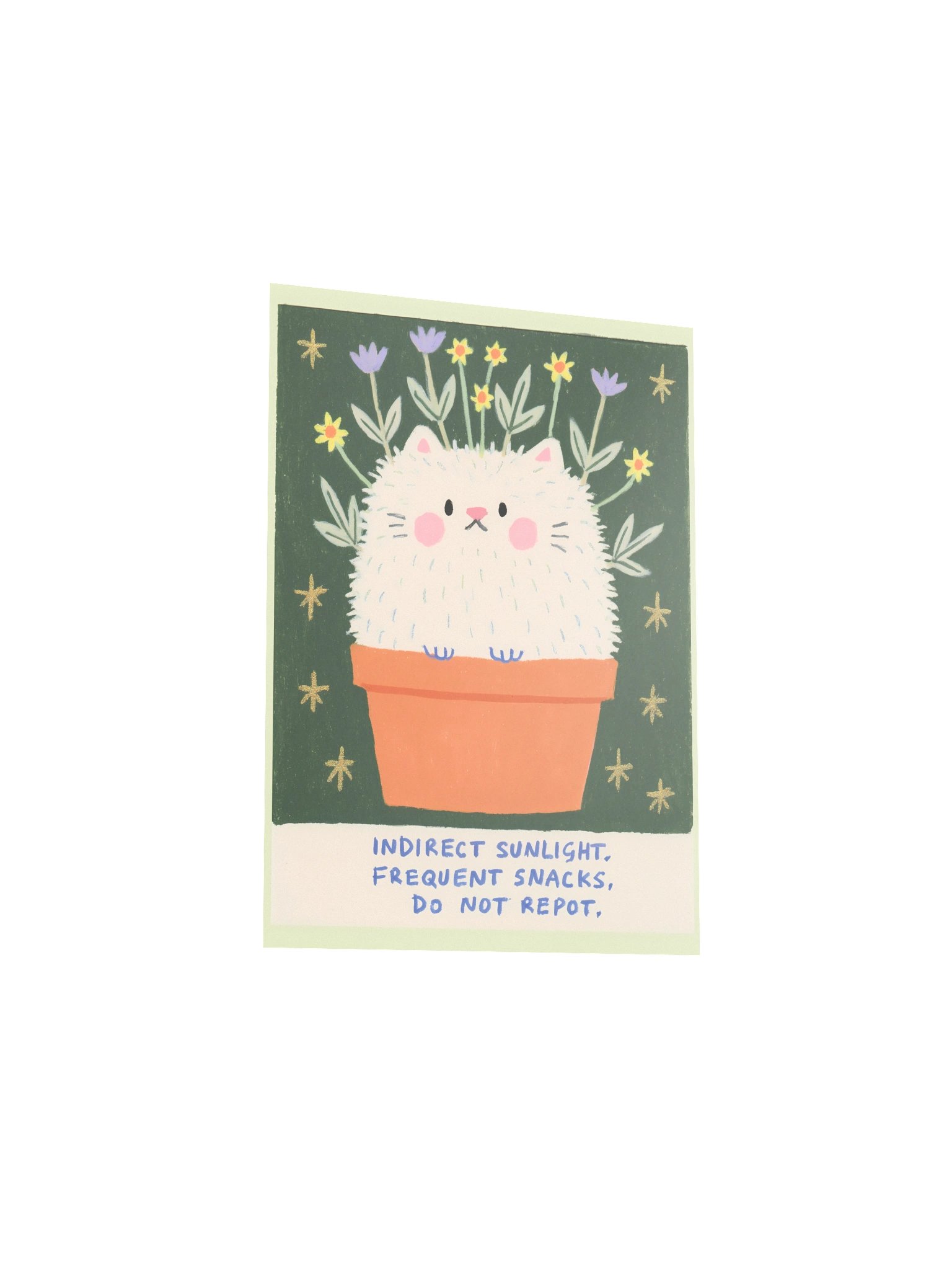 Indirect Sunlight Cat Poster product image (20)