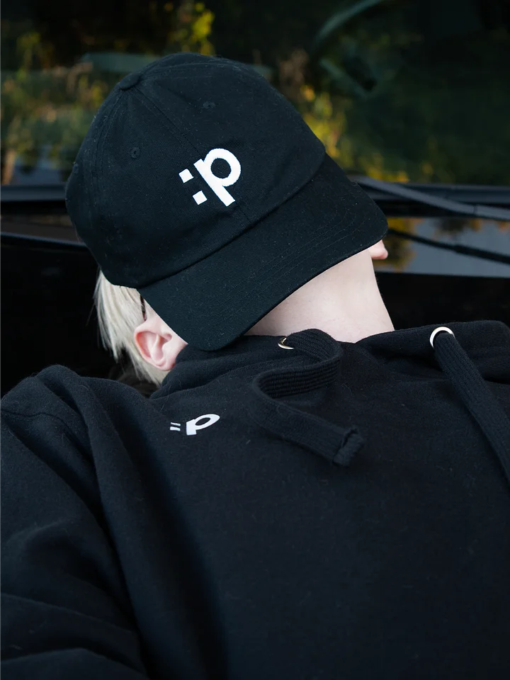 The Silly Hat product image (2)