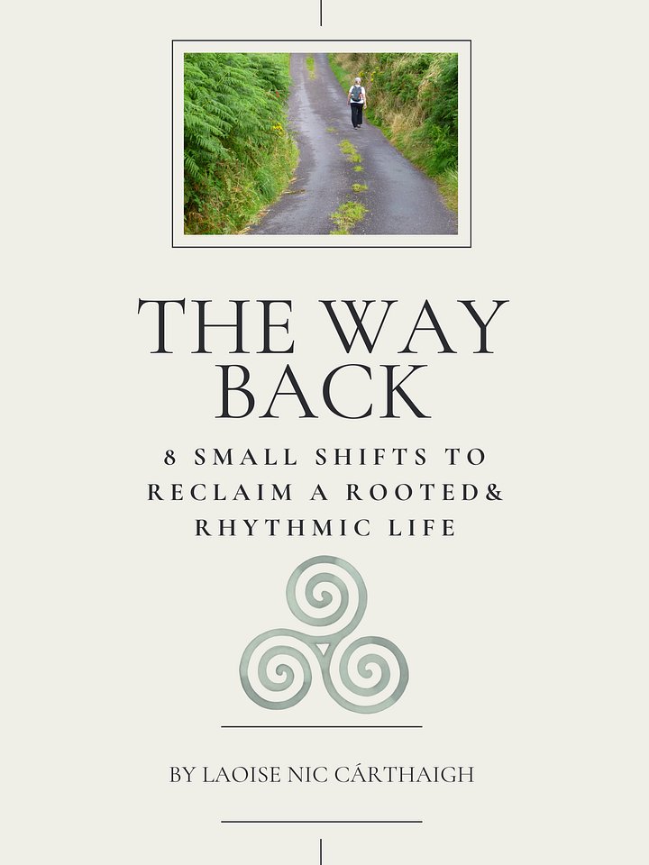 The Way Back: 8 Small Shifts to Reclaim a Rooted, Rhythmic Life product image (1)