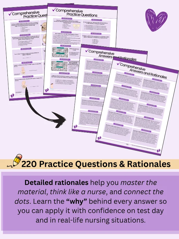 Maternity Nursing Study Guide and Questions by Nurse Sarah® (Digital) product image (4)