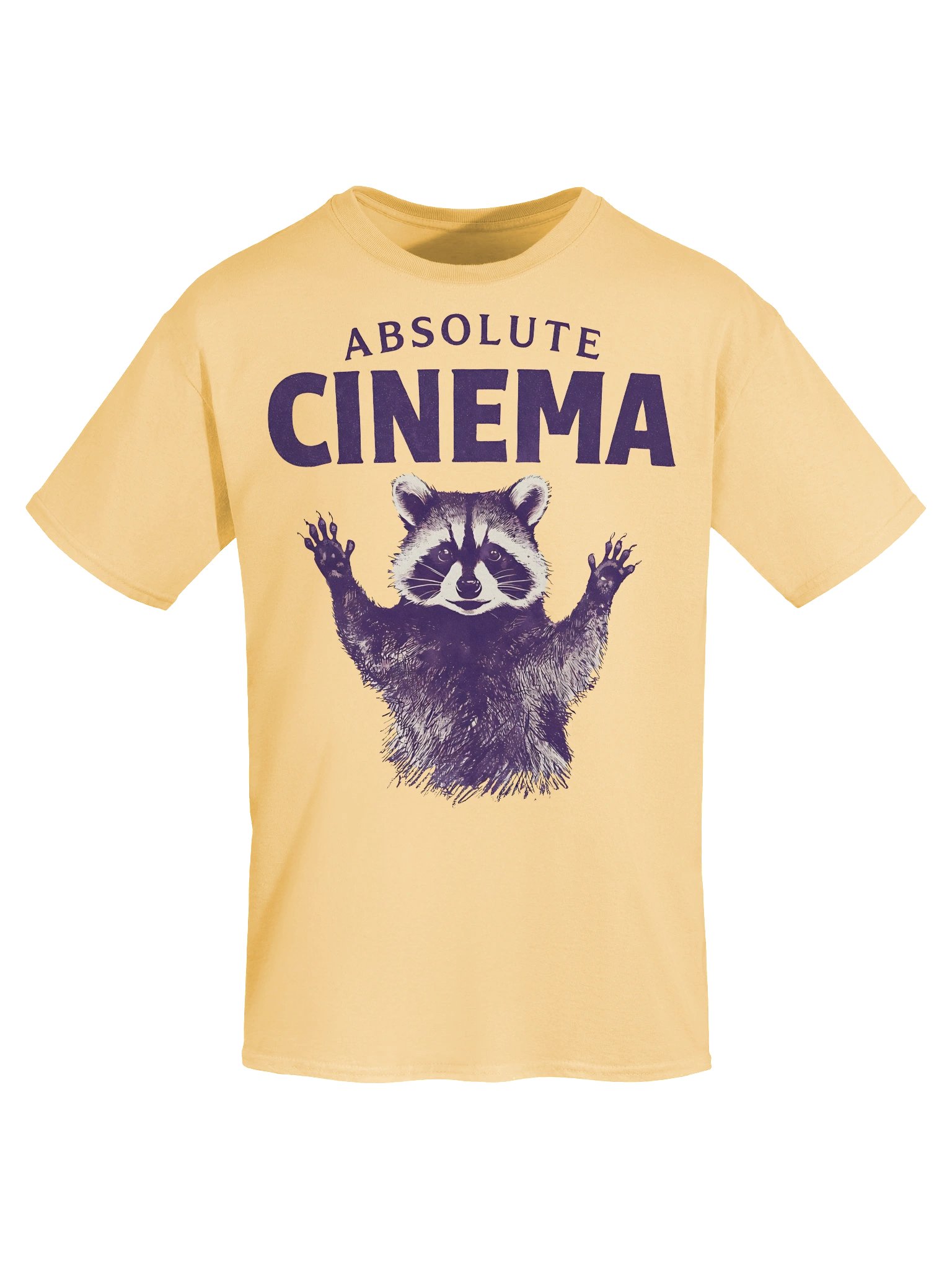 Absolute Cinema Raccoon Meme Graphic T-Shirt product image (7)