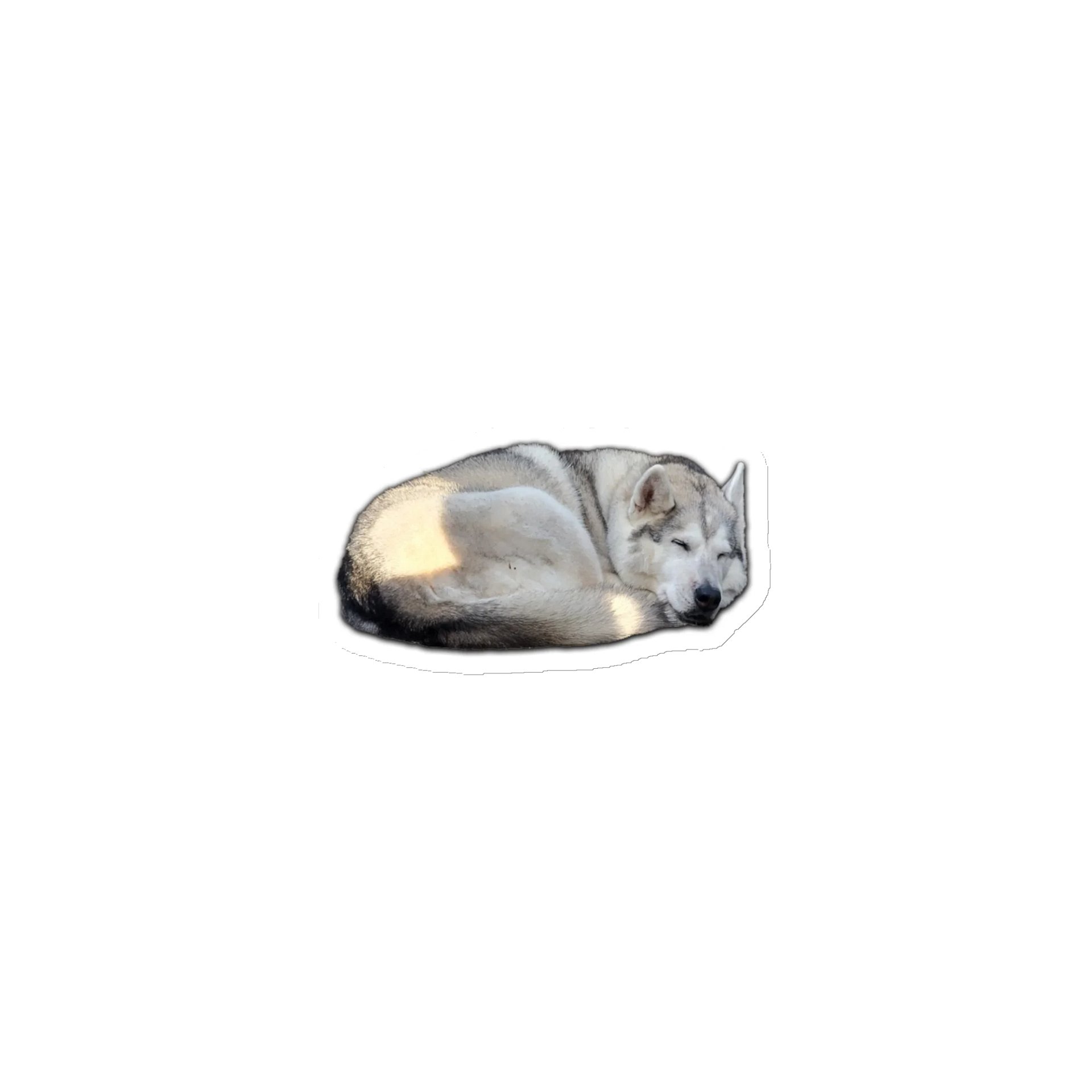 Sleepy Magnet product image (1)