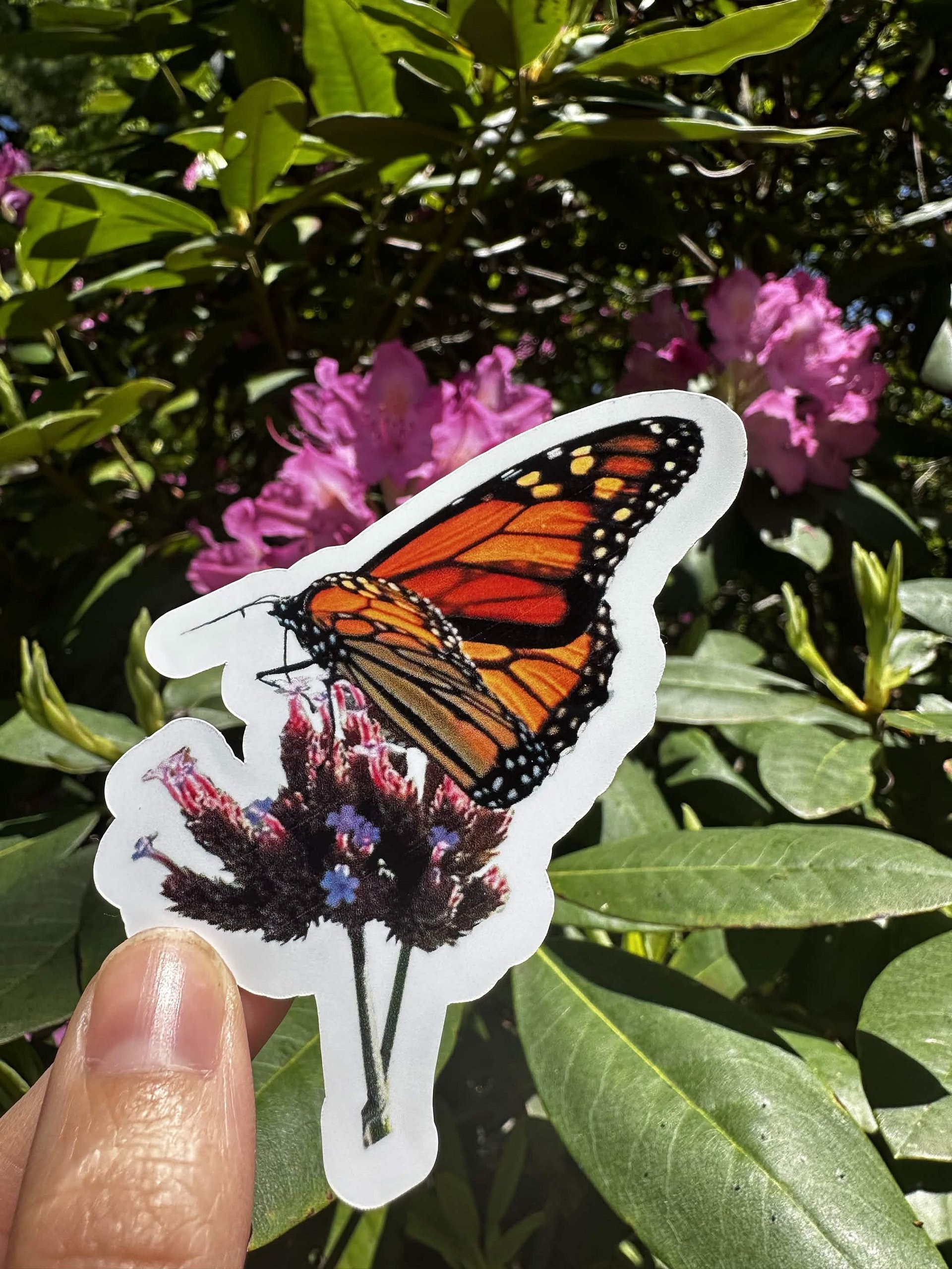 Monarch Butterfly Sticker product image (1)