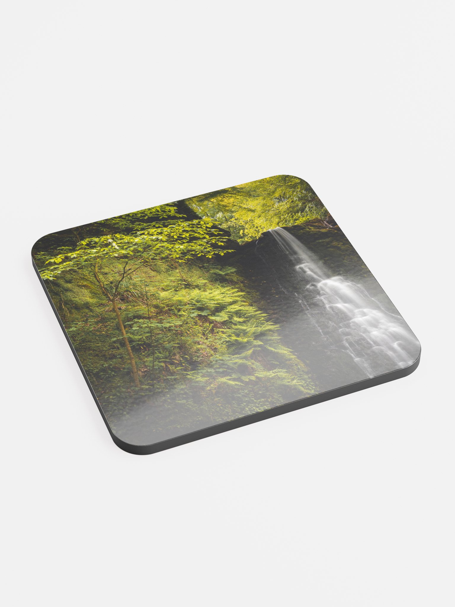 Falling Foss Sappling product image (2)