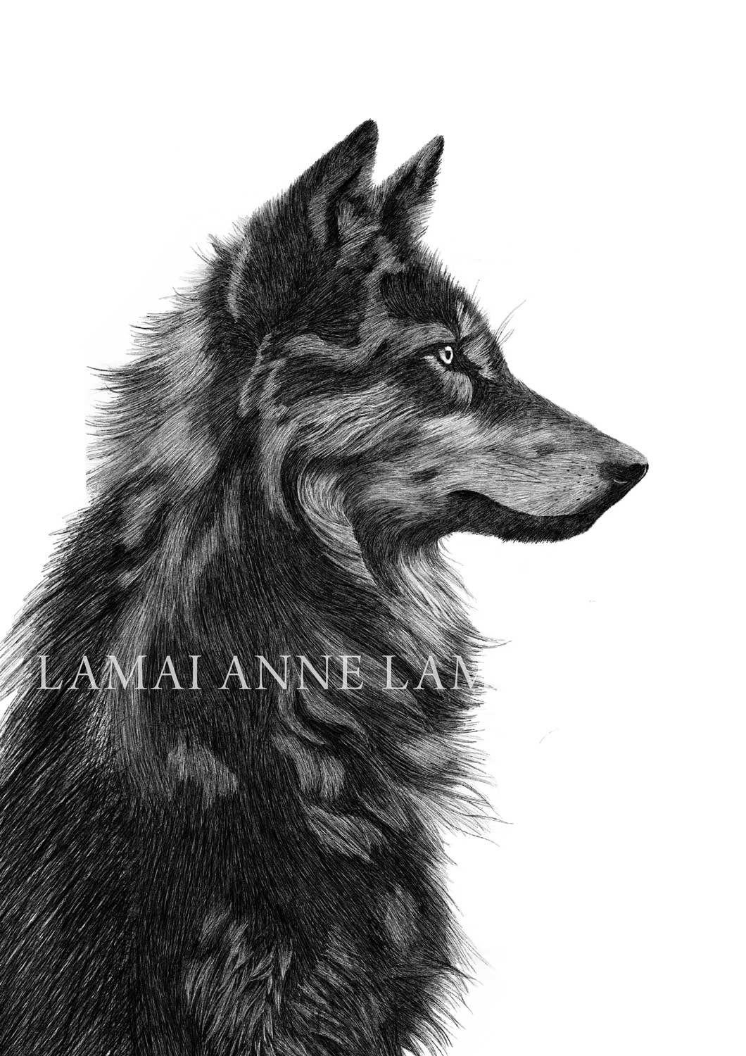 Wolf | The Heart of Shadow Art Print product image (1)
