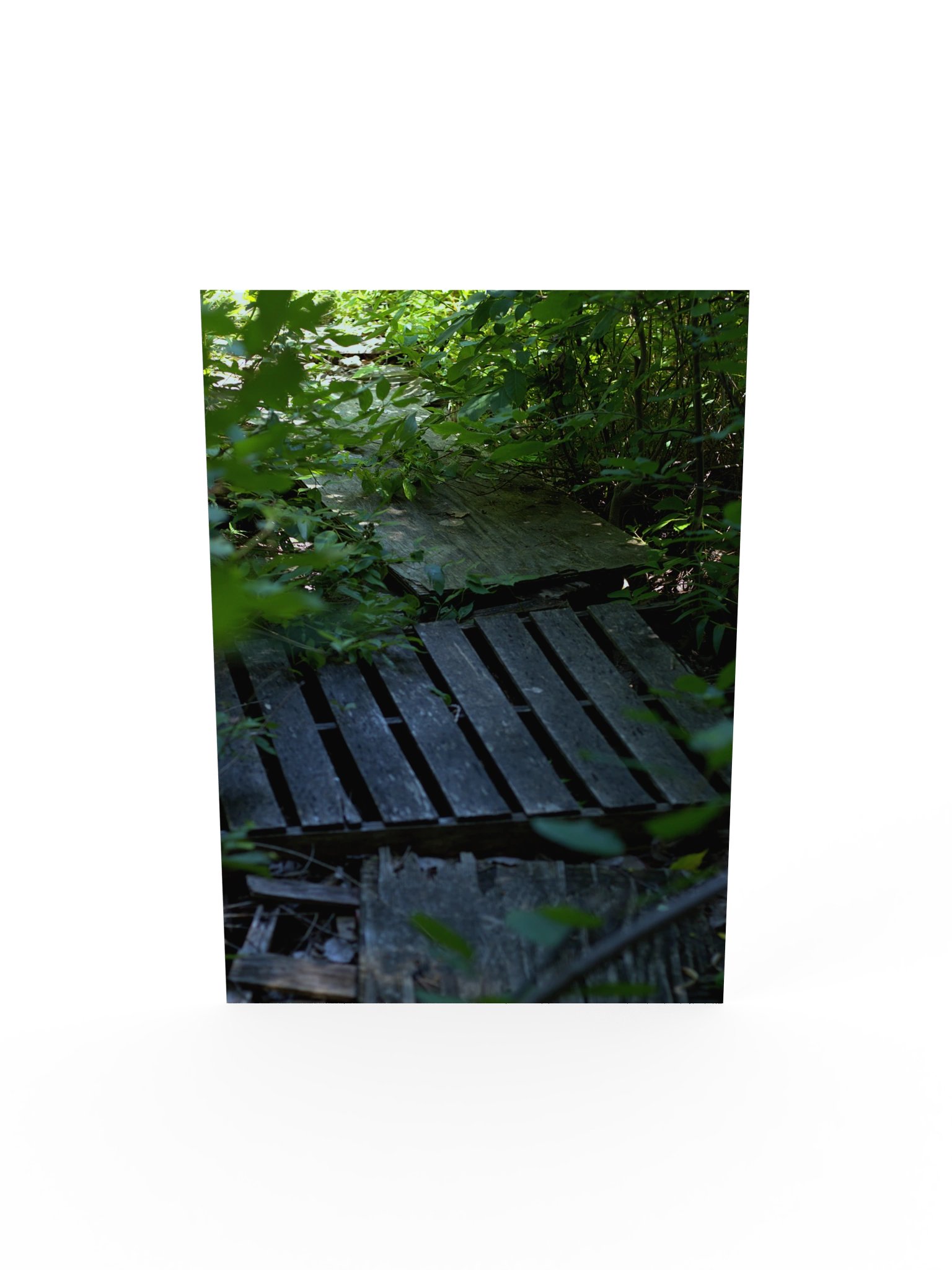 plank product image (5)