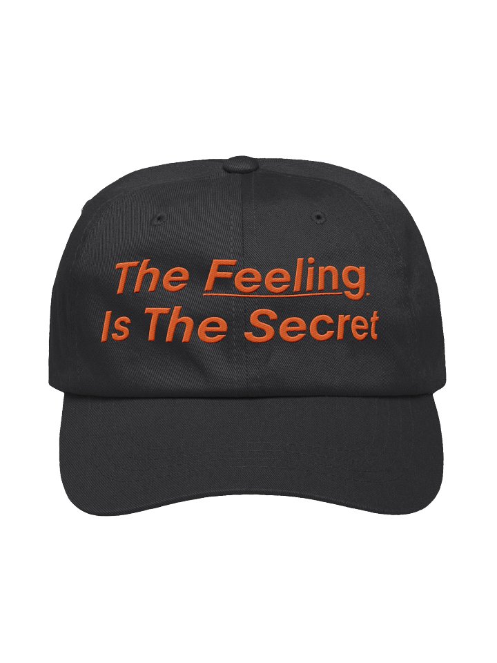 The Feeling Is The Secret product image (1)
