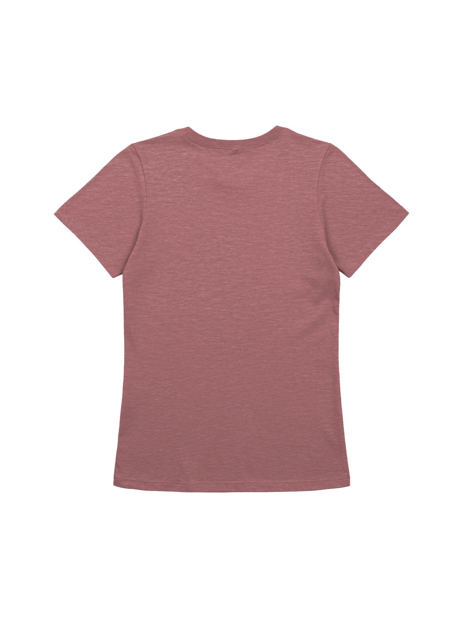 Apparently I Am Not Allowed to Adopt All the Dogs - Women's Tee product image (2)