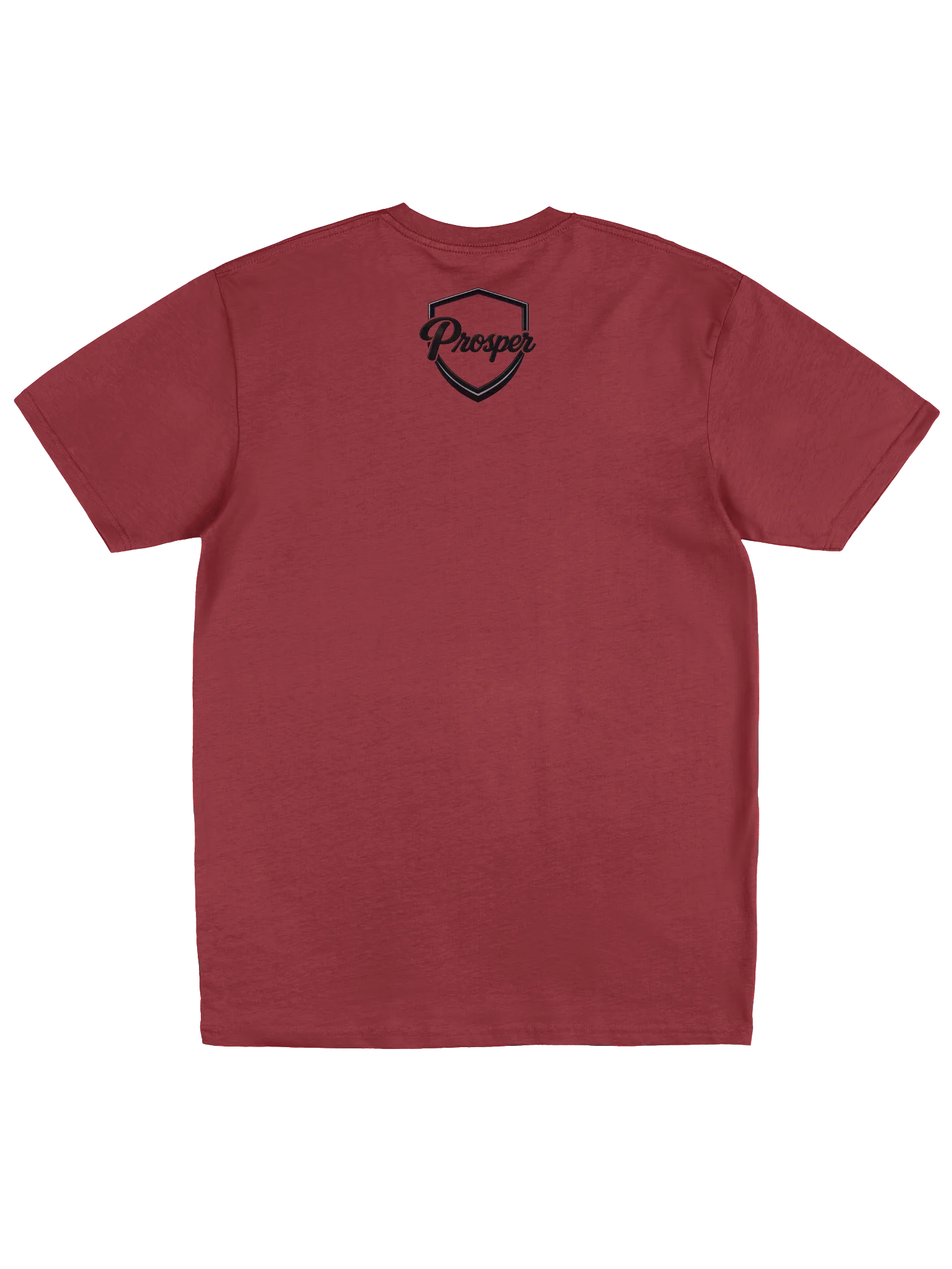 PROSPER Heavyweight T-shirt product image (6)