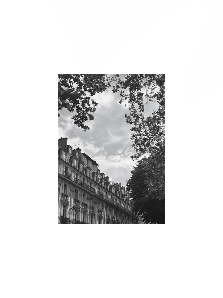 Toits ciel parisien dé-saturé (impression) product image (1)
