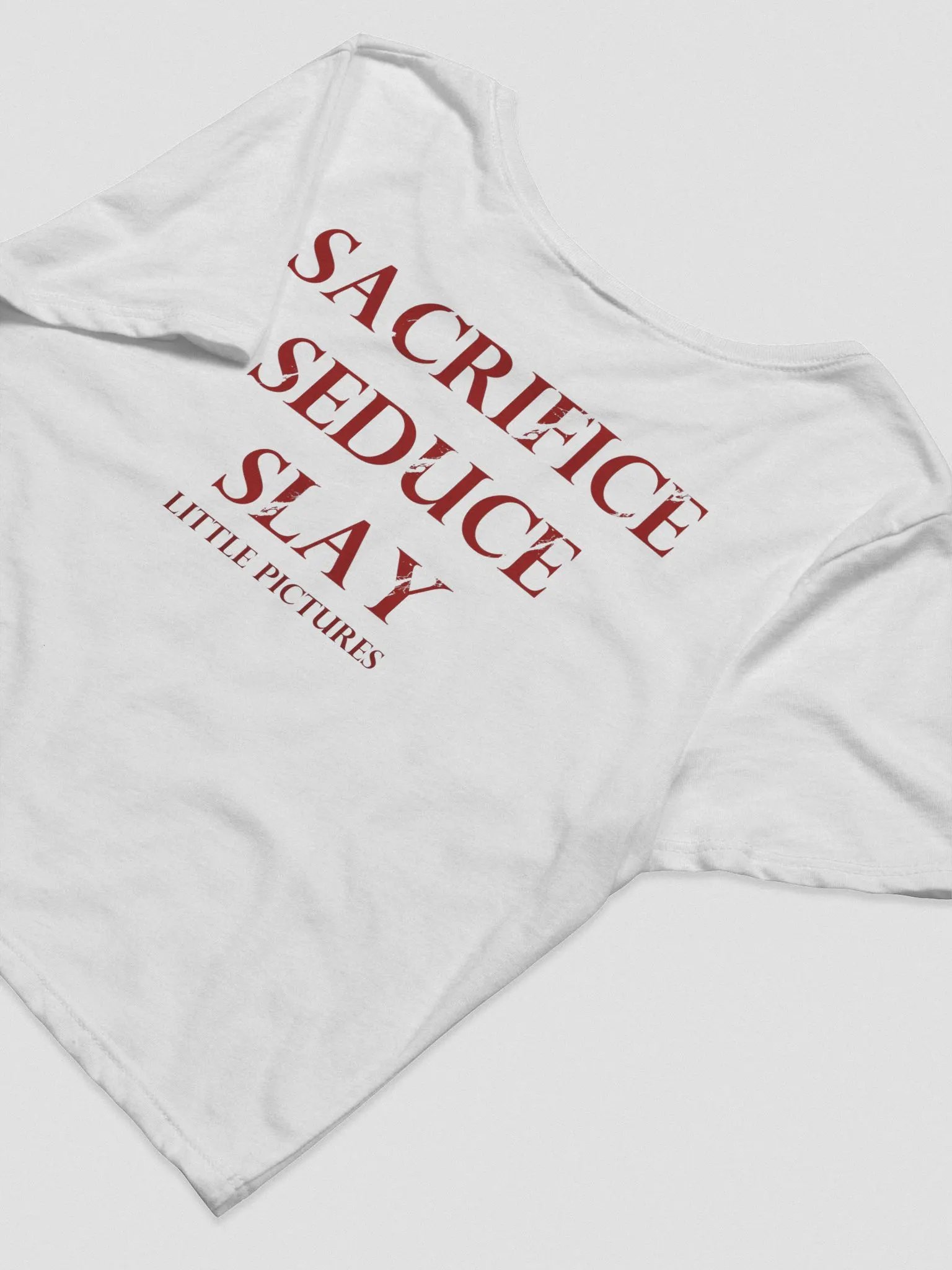 Spooky Sacrifice Crop Tee product image (23)