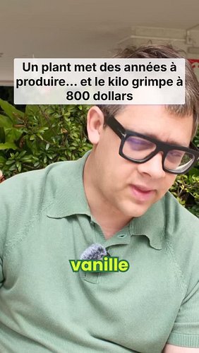 Des années pour produire une gousse de vanille, des mois pour exploser

La vanille ne se relance pas en quelques semaines. Un...