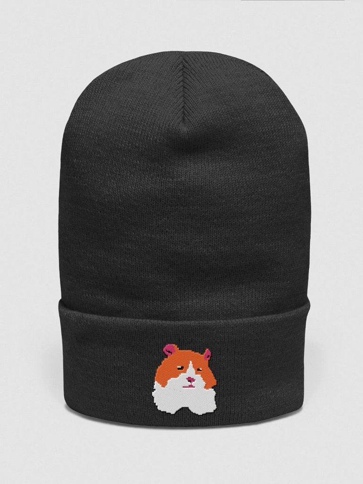 Chip Embroidered Beanie product image (1)
