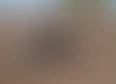 GasGas's tag thumbnail