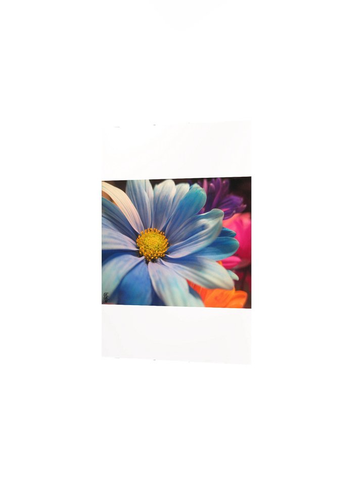 Colorful Flowers product image (12)