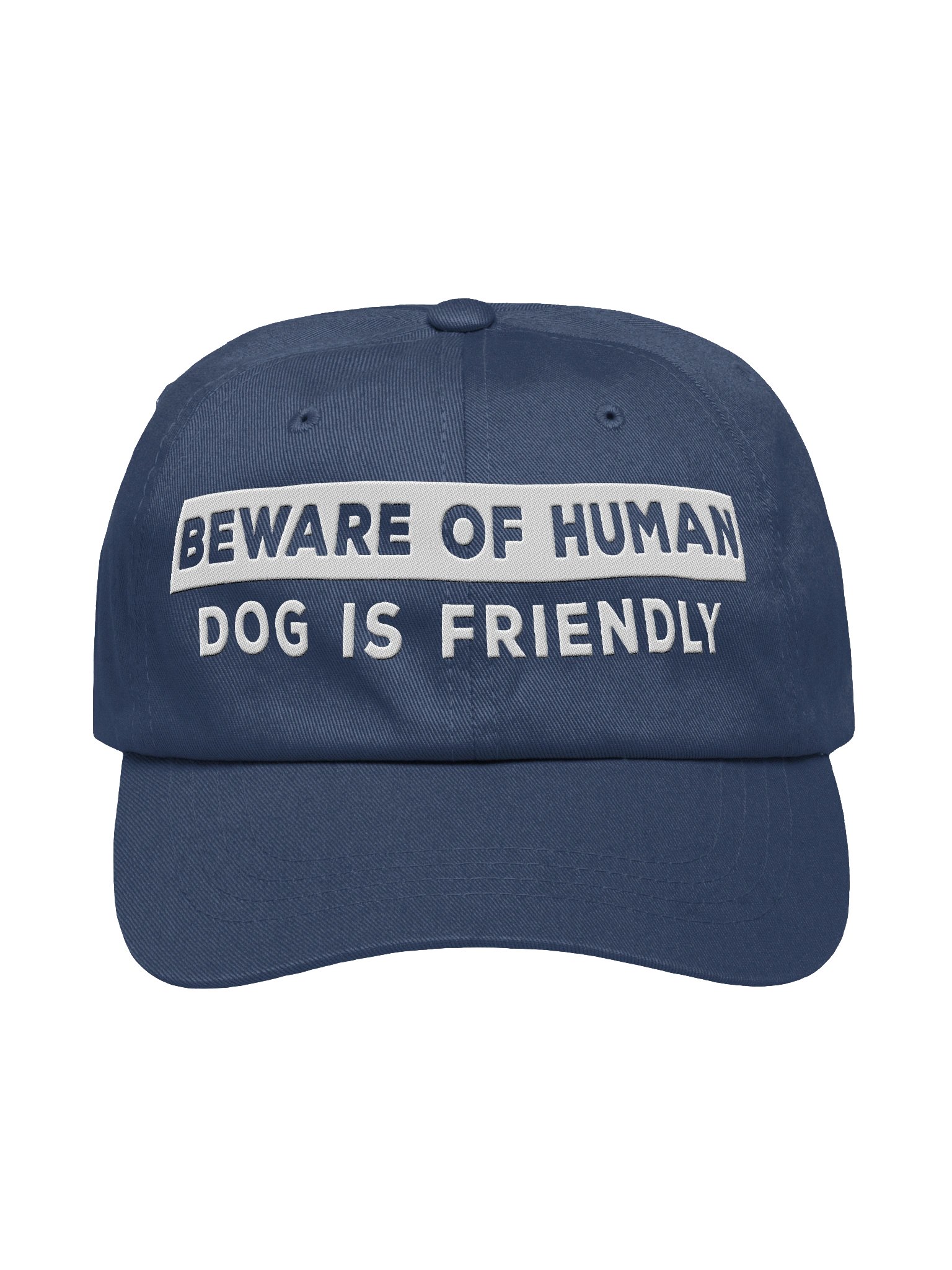 Beware of Human. Dog Is Friendly (Embroidered) Classic Dad Hat product image (9)