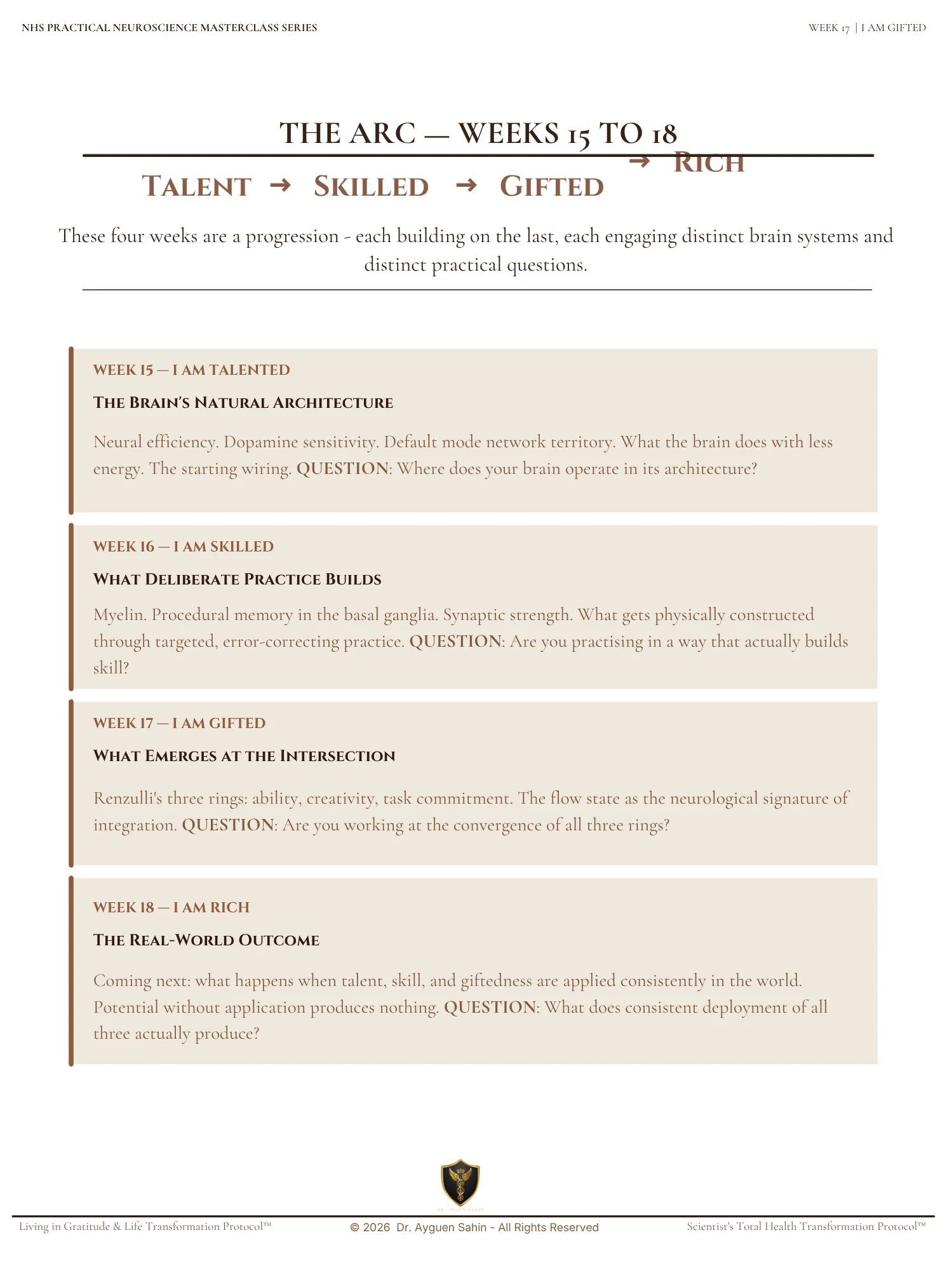 GIFT INTEGRATION AUDIT product image (4)