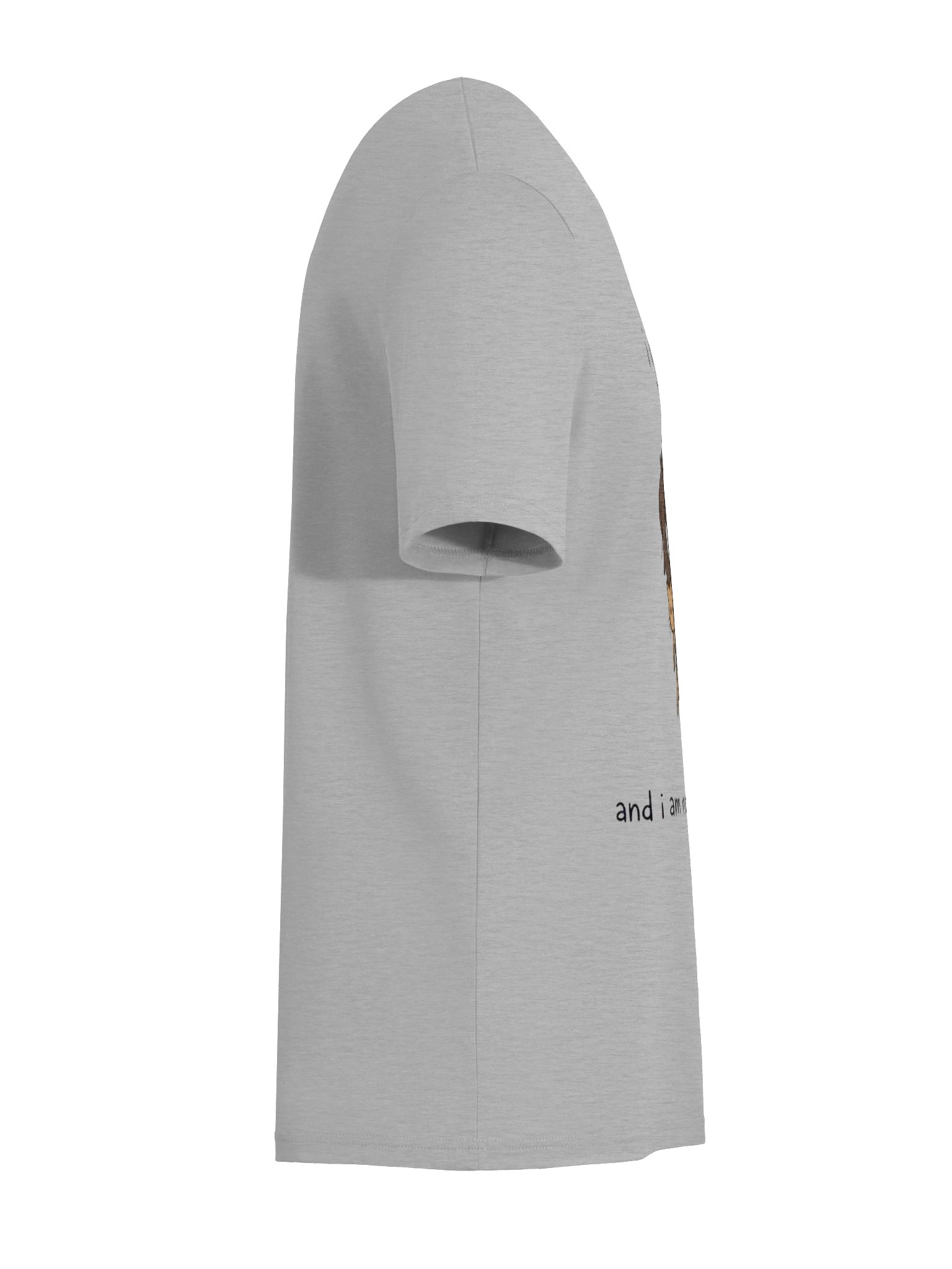 i got a cat T-shit product image (40)