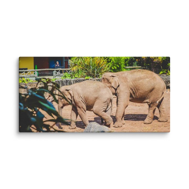Wildlife Wanderers product image (1)