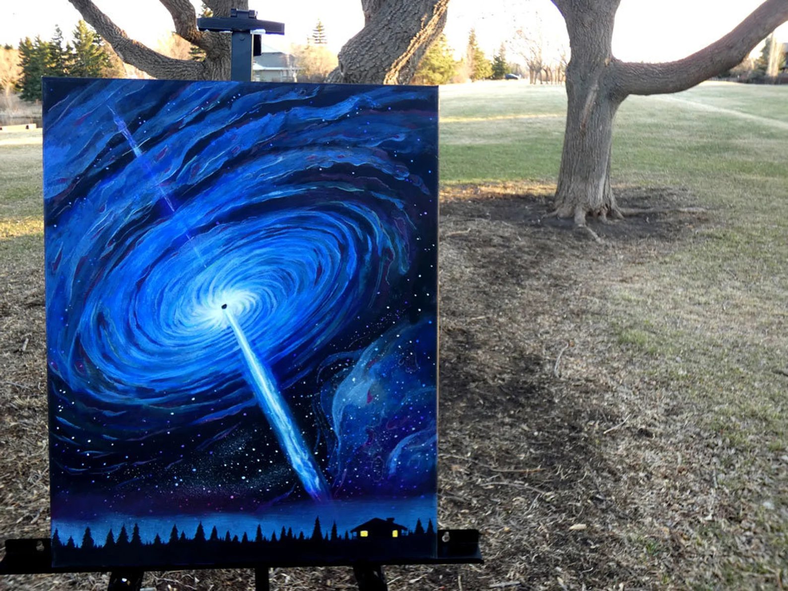 Quasar Cabin Acrylic Painting on Canvas (Canada Only) product image (4)