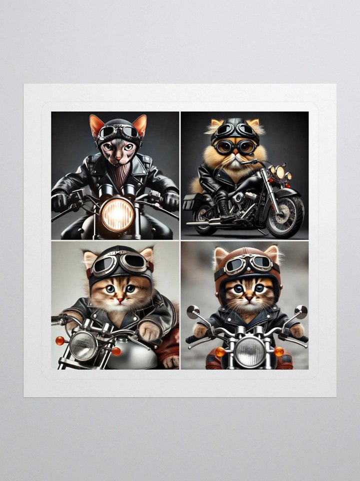 Bad Boys - Kitten Edition product image (1)