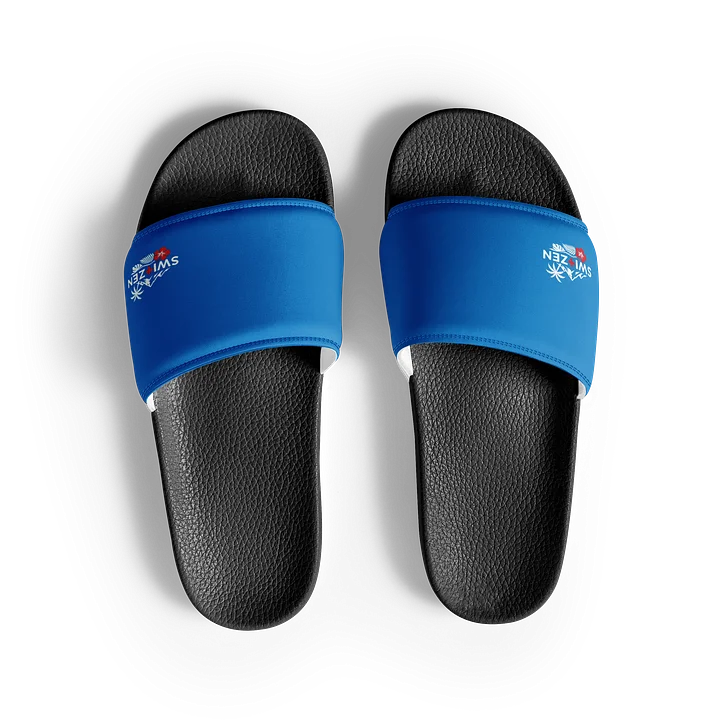 Switzen Slides ( Drive ) product image (2)
