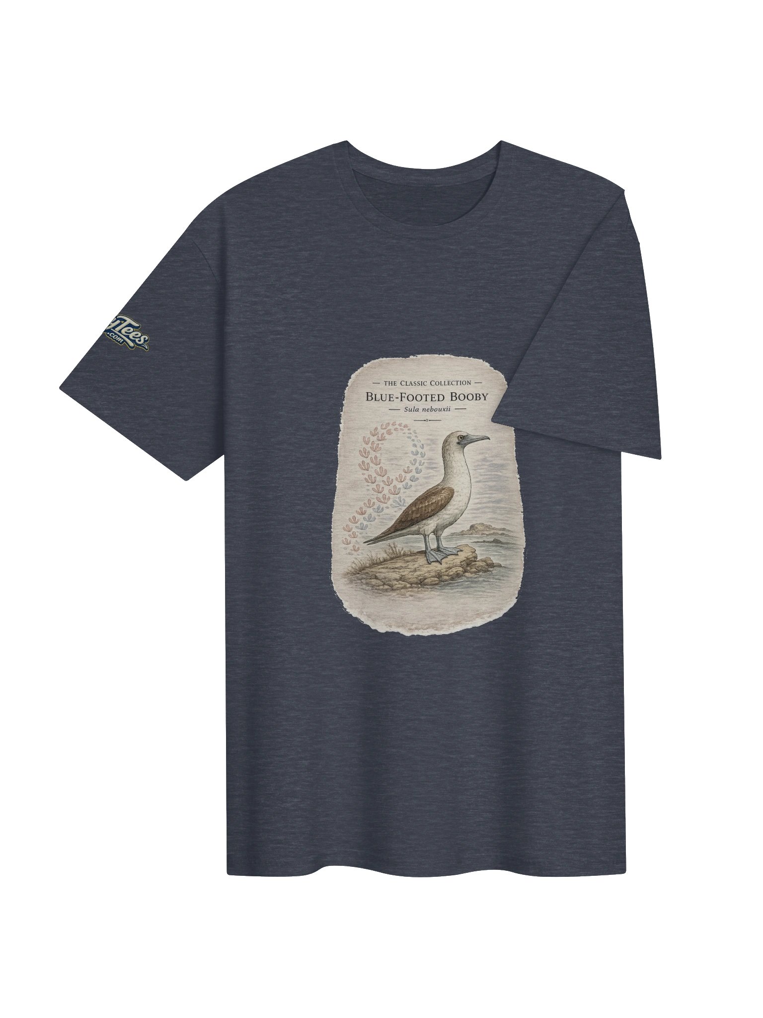 The Classic Collection — Blue Footed Booby product image (4)