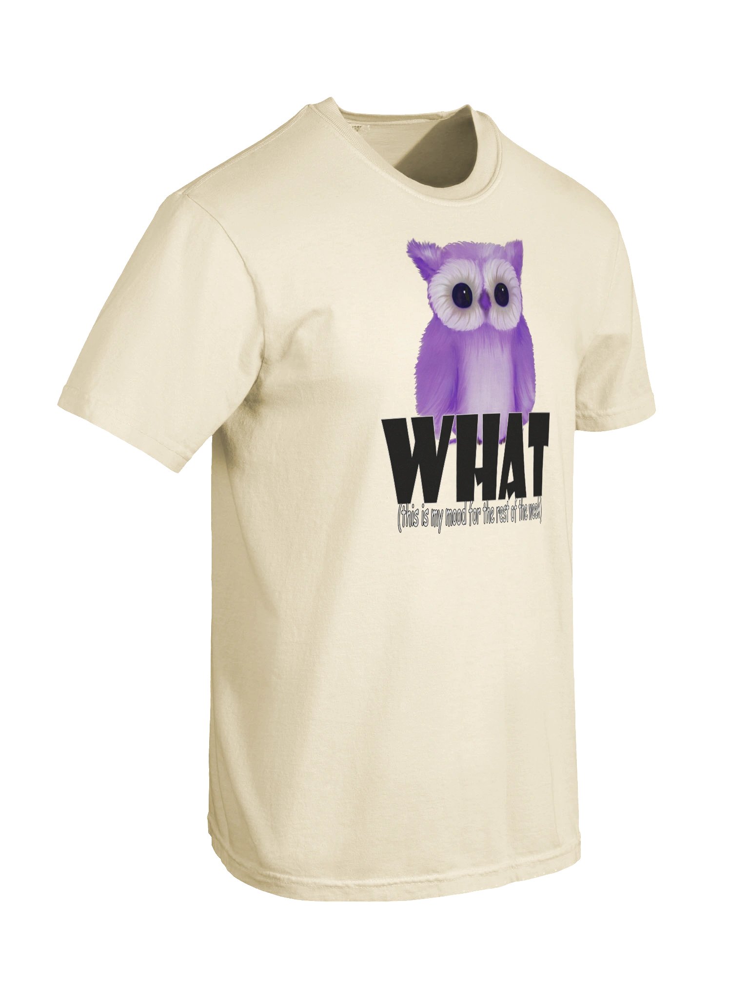 Men's Comfort Colors Garment-Dyed Heavyweight T-Shirt product image (5)
