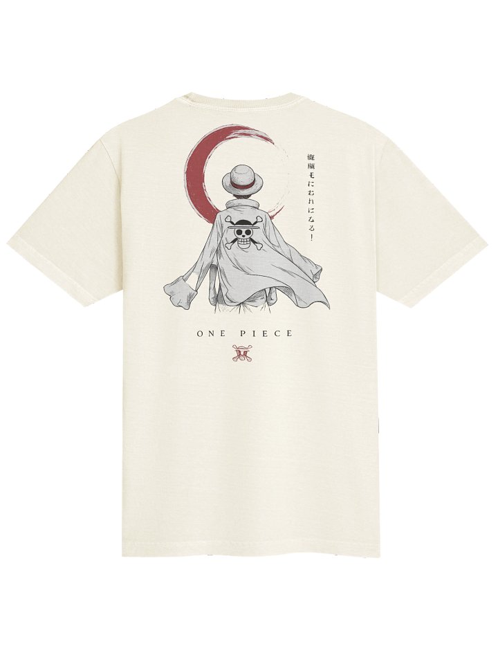 Monkey D. Luffy – Pirate King Journey product image (2)