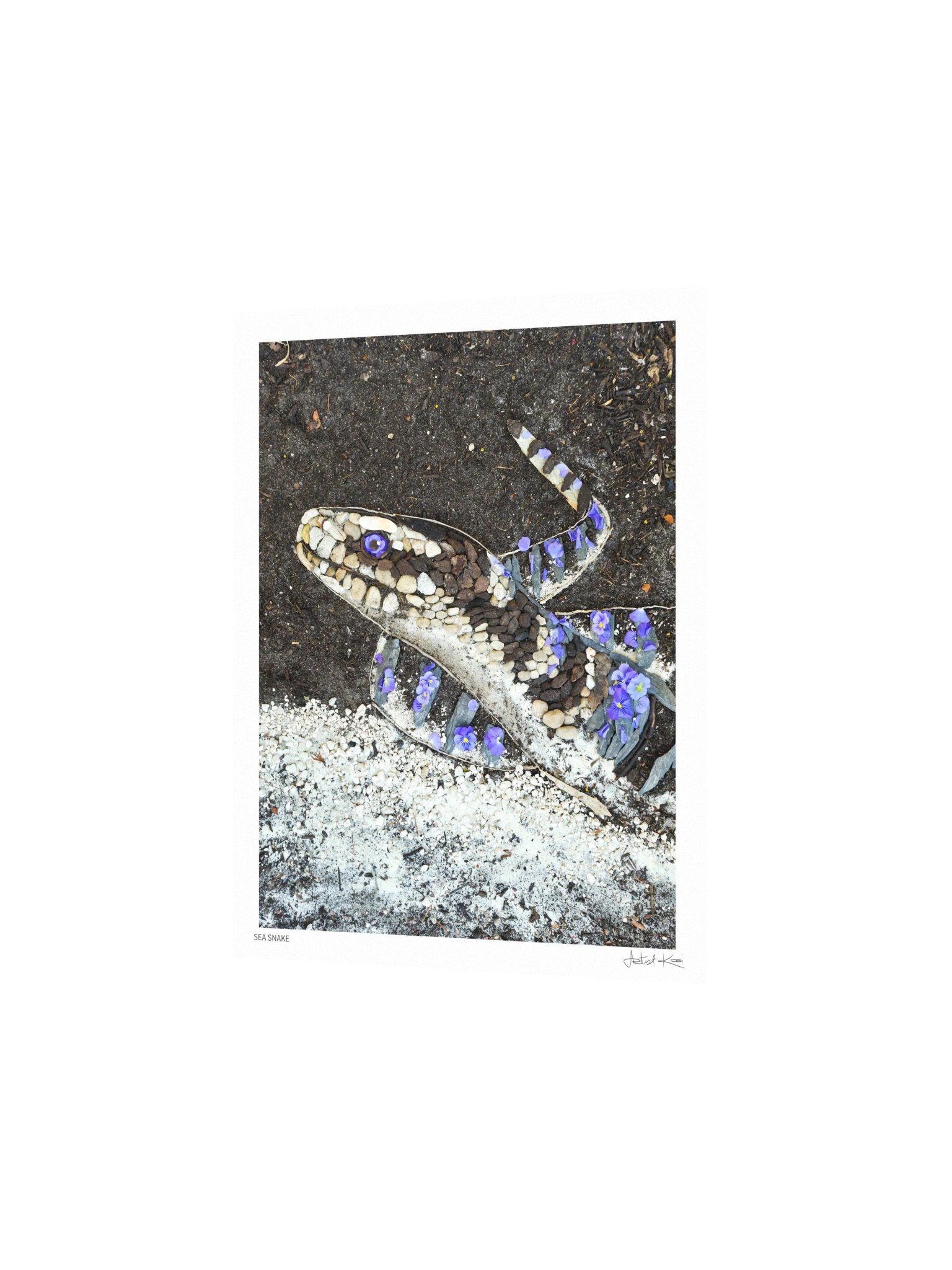SEA SNAKE | Nature Art Print product image (3)