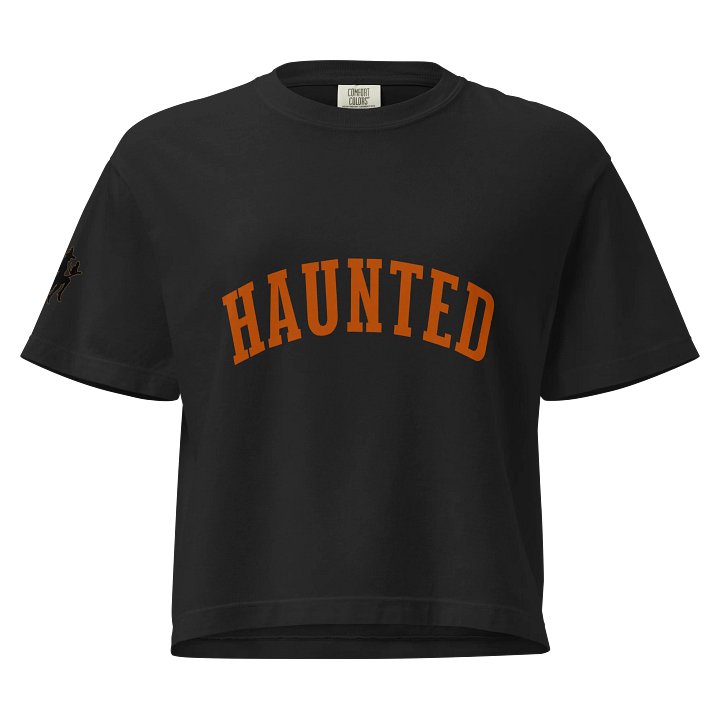 Haunted Heavyweight Boxy T-Shirt product image (1)