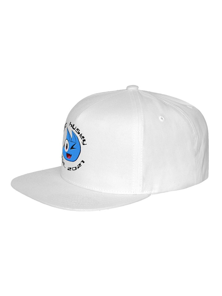Retro Snap Back product image (2)