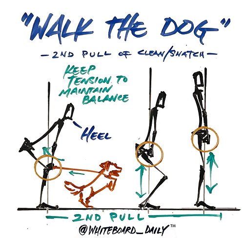 | COACHING CUE |

“Walk the dog” - picked up from @coach_clarke_d1 at the @nhssca_in clinic

When?
2nd pull of the clean/snat...