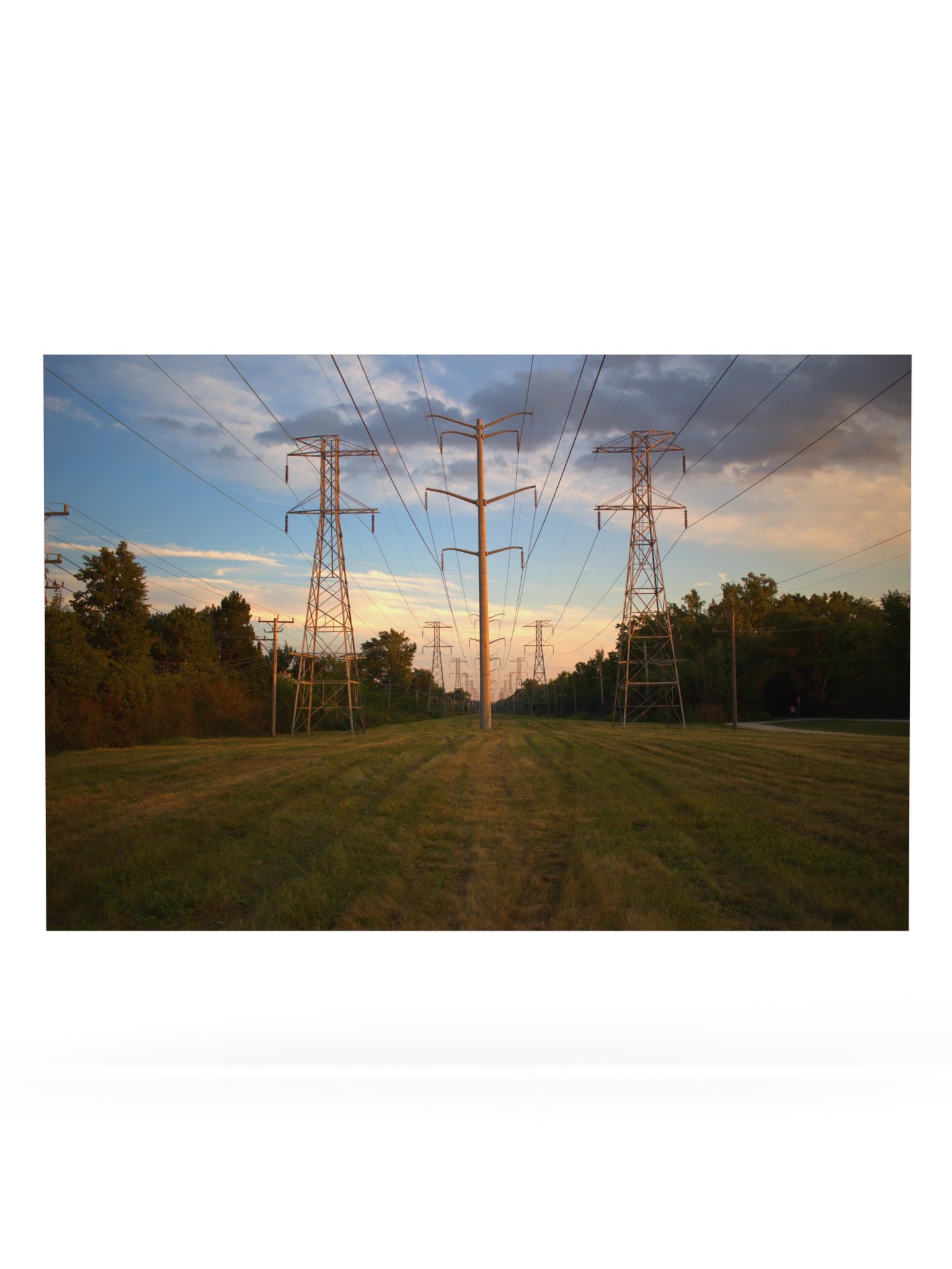 field product image (1)