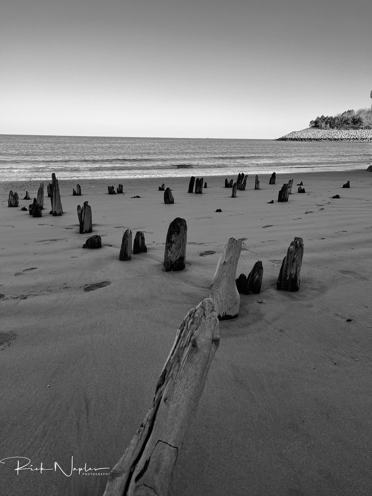 BLACK AND WHITE PHOTOGRAPHY product image (4)