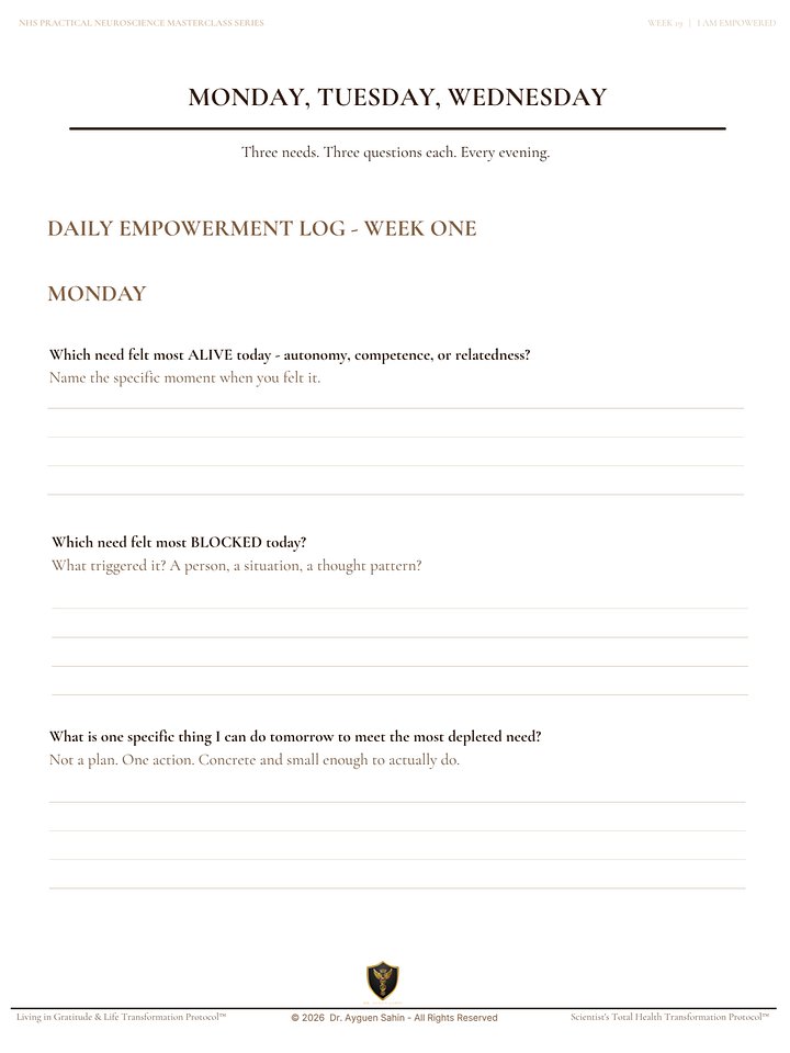 THE EMPOWERMENT AUDIT product image (2)