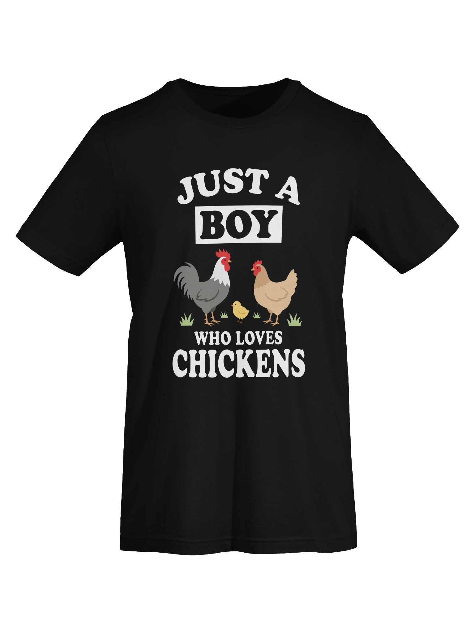 Boy Who Loves Chickens tshirt product image (5)