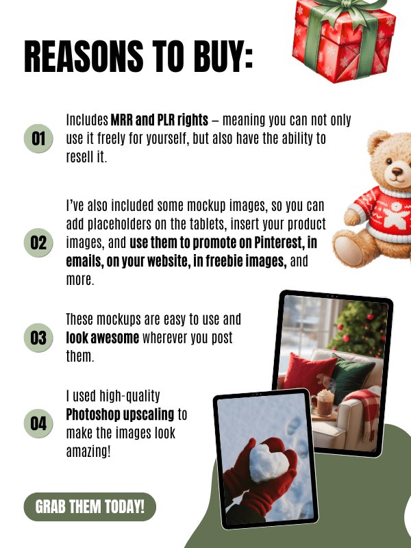 MRR/PLR Christmas Stock Photos product image (8)