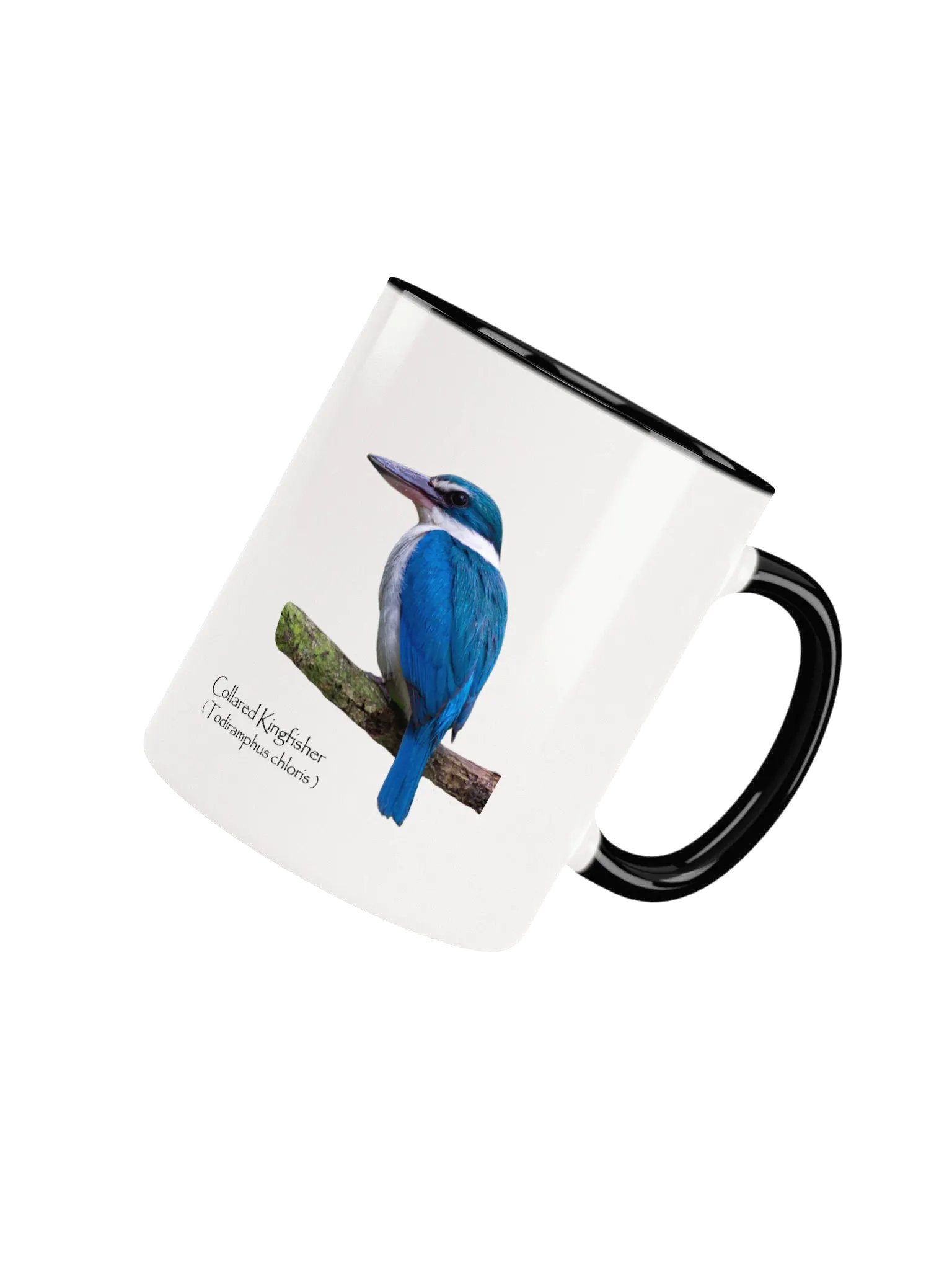 Collared Kingfisher mug product image (36)